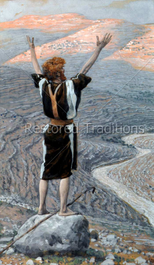 The Voice in the Desert Tissot