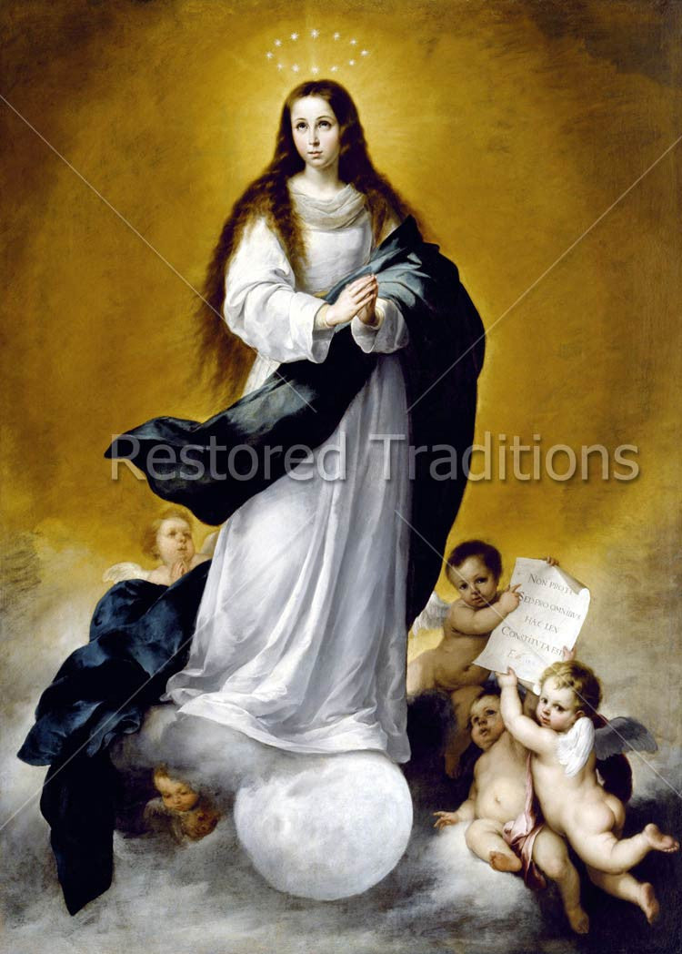Our Lady Standing on the Moon