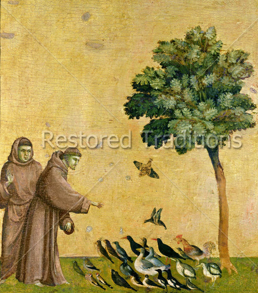 Francis talking to birds