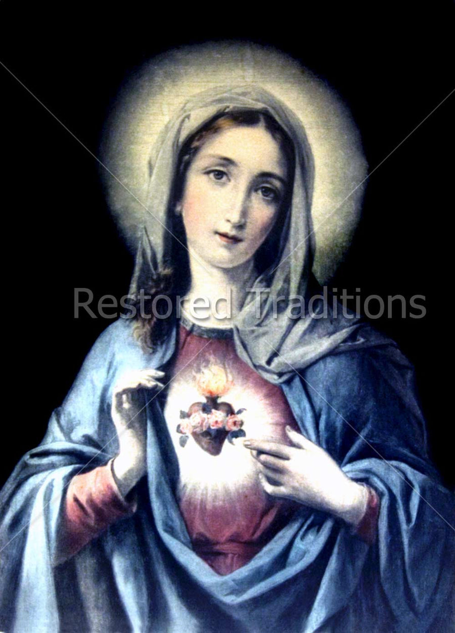 Virgin Mary Portrait