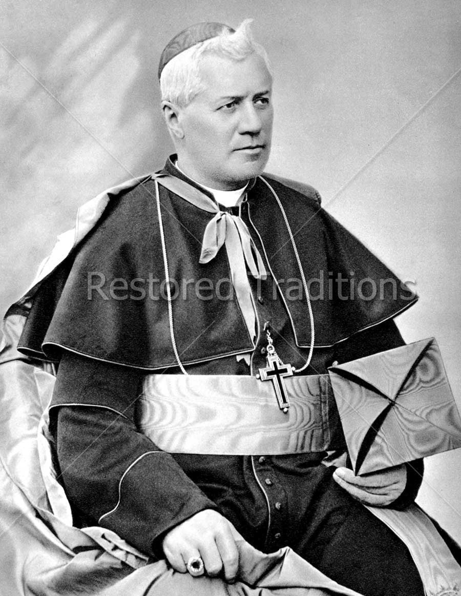 Portrait of Pope Pius X