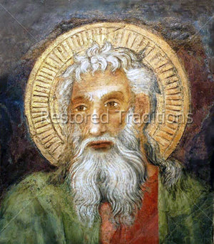 Portrait of apostle